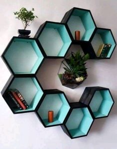 the shelves are shaped like hexagons and have plants in them on them