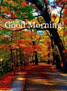 an autumn scene with the words good morning