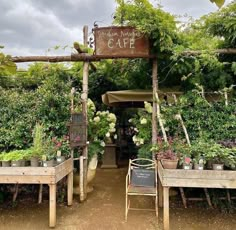 an outdoor cafe with lots of potted plants