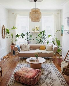 a living room filled with furniture and lots of plants on top of the rugs