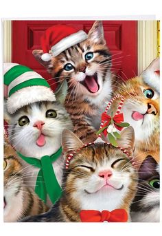 a group of cats wearing christmas hats and bow ties, standing in front of a red door