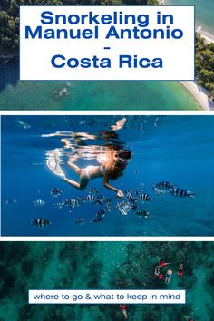 snorkel, snorkeling, manuel Antonio, Costa Rica, wildlife, nature, water, watersport, where to go, Quepos Best Places To Snorkel, Quepos Costa Rica, Manuel Antonio Costa Rica, Manuel Antonio National Park, Budget Hotel, Family Holiday, Keep In Mind, Post It, Snorkeling