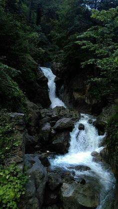 there is a small waterfall in the woods