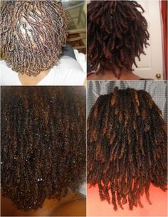 The above picture is of my locs at their different stages. My hair is now at the medium length and some folx look at it and think "Wow, he... Loc Growth, Small Dreads, Hair Growth Progress, Short Grey Hair, Sisterlocks, Modern Hairstyles, Braids For Black Hair