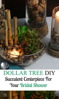 dollar tree diy succulent centerpiece for your bridal shower or wedding