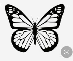 a black and white butterfly on a white background