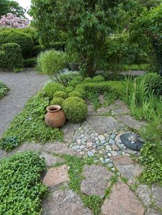 a garden with rocks, plants and a potted planter in the middle of it