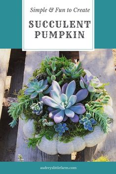 a succulent pumpkin sitting on top of a wooden table