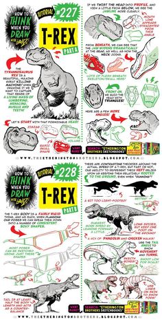 an illustrated poster showing how to draw t - rex and other dinosaurs in different ways