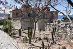 an old building surrounded by cactus and rocks