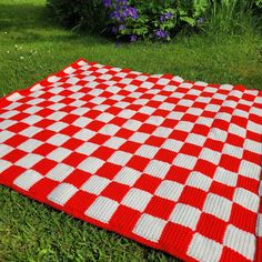 a red and white checkered blanket laying on the grass in front of purple flowers