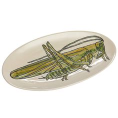 a plate with a drawing of a grasshopper on it