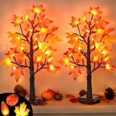 two lighted trees with autumn leaves on them