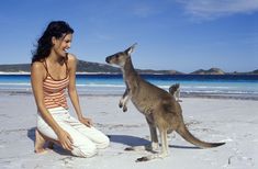 a woman kneeling down next to a kangaroo on the beach