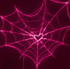 a spider web with pink lights on it