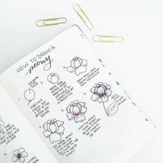 Bullet journal ideas and planner doodles that are perfect for spring! Learn how to draw perfect flowers with this technique. Botanical Lettering, Weekly Bullet Journal Layout, Weekly Bullet Journal, Botanical Line Drawing, Draw Flowers, Floral Drawing, Plant Drawing