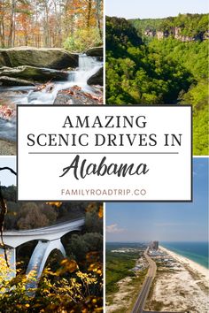 the scenic drive in albema with text overlay reading amazing scenic drives in alabama