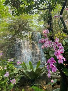 purple orchids in the foreground and waterfall in the background with green foliage on either side