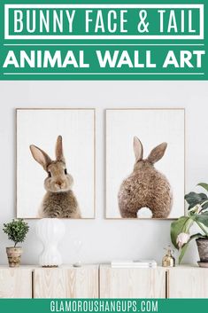 bunny face and tail animal wall art on a white wall with text overlay that says bunny face and tail animal wall art