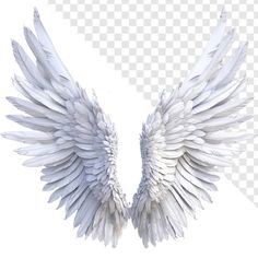 two white wings with transparent background