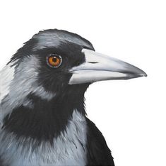 a painting of a black and white bird with orange eyes