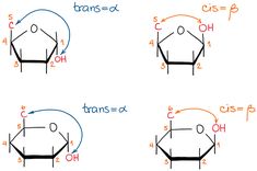 four diagrams showing the different types of transs - d