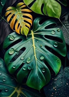 a painting of tropical leaves with drops of water on them