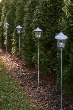 several lights are lined up on the side of a road in front of some bushes