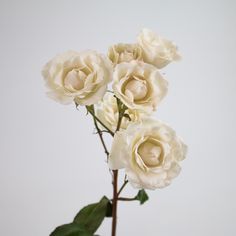 three white roses with green leaves in a vase