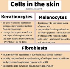 Esthetician School, Layers Of The Epidermis, The Skin, Anatomy, No Response, Skin Care, Skin, Quick Saves