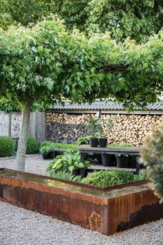 an outdoor garden with trees and plants in the center, surrounded by graveled ground