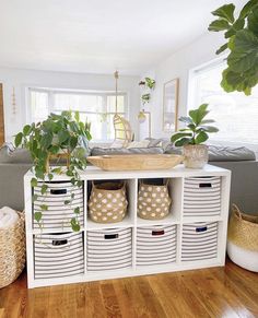 a living room filled with lots of white storage containers and potted plants on top of it