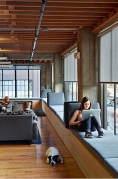 two people sitting on couches in an office with a dog laying next to them