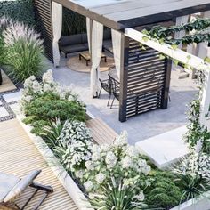 an aerial view of a patio with seating and plants in the foreground, surrounded by greenery