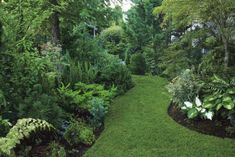 a lush green garden filled with lots of trees and plants on either side of the path