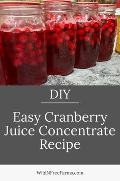 canning homemade cranberry juice Uses For Fresh Cranberries, Homemade Cranberry Juice Recipe, Ideas For Fresh Cranberries, Home Made Cranberry Juice, Diy Cranberry Juice, Fresh Cranberry Juice Recipe, Cranberry Juice Recipes