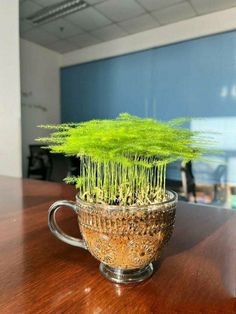 a coffee cup filled with green plants on top of a wooden table in an office