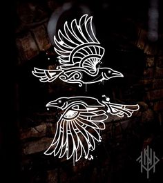 two white birds flying over a brick wall in the dark with their wings spread out