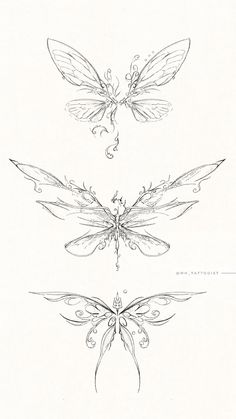 three different types of dragon wings with intricate designs on the wings and tail, all drawn in