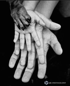 two hands reaching out towards each other