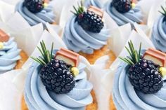 cupcakes with blue frosting and blackberries on top are arranged in rows