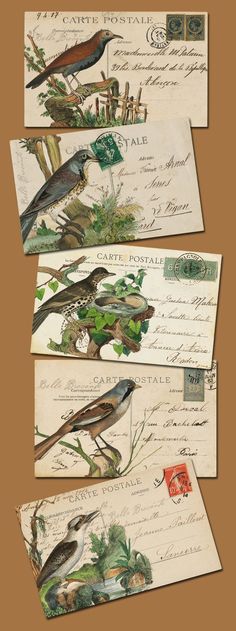 three envelopes with birds on them sitting next to each other