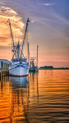 several boats are docked in the water at sunset