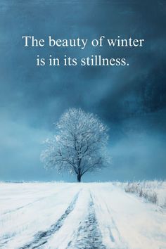 Aesthetic winter love quote on a picturesque, snowy backdrop. Winter Poetry Quotes, Snow Quotes Aesthetic, Love Winter Quotes, Holiday Images Winter, Winter Aesthetic Quotes, Christmas Quotes Aesthetic