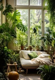 a living room filled with lots of green plants and potted plants on the windowsill