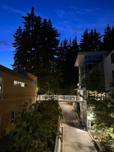 an apartment building at night with lights on and trees in the foreground behind it