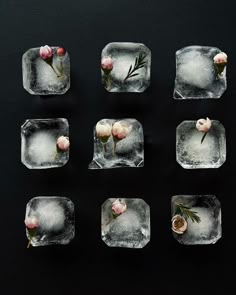 Цветы и эстетика, цветы и лёд фото Floral Ice Cubes, Cool Cube, Photo Course, Floral Ice, Frosé, High Fashion Photography, Nothing But Flowers, Wine Brands