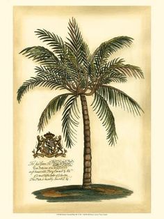 a drawing of a palm tree with an emblem on the top and bottom half of it