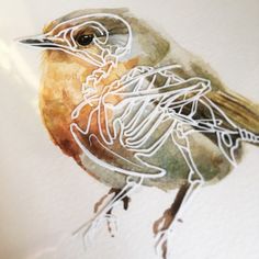 a watercolor painting of a bird with white lines on it's body