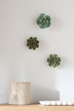 three succulents are hanging on the wall next to a bowl and vase